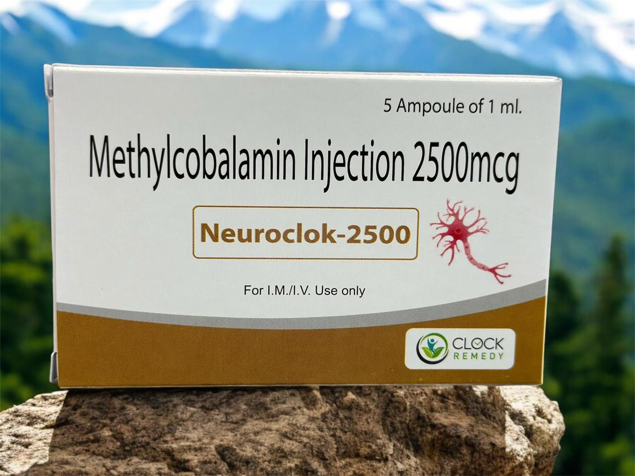 Neuroclok-2500